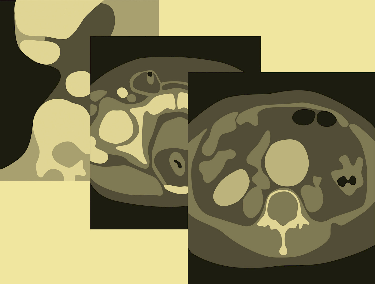 Illustration of clinical image data import