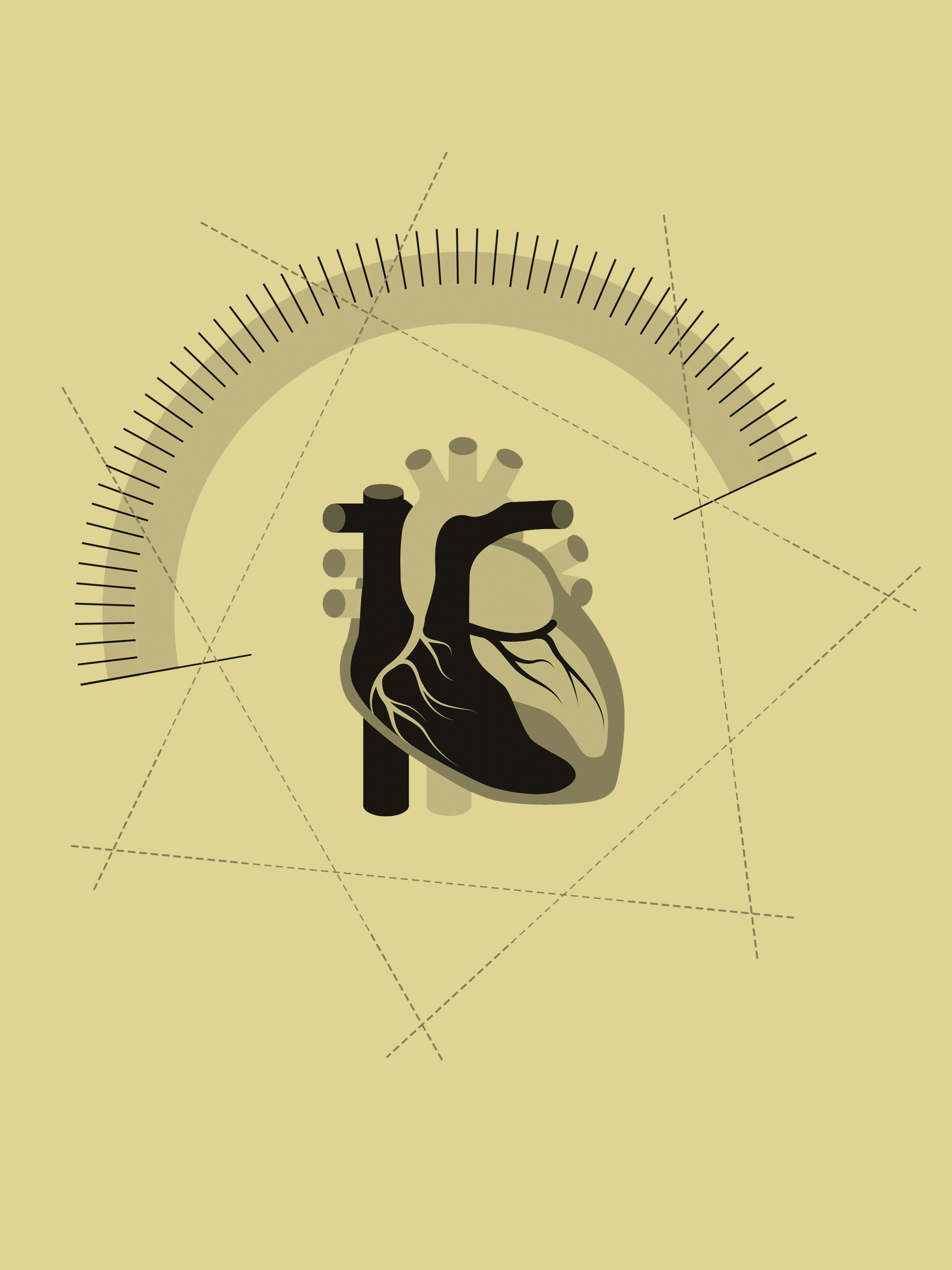 An illustration of a human heart surrounded by a measuring scale.