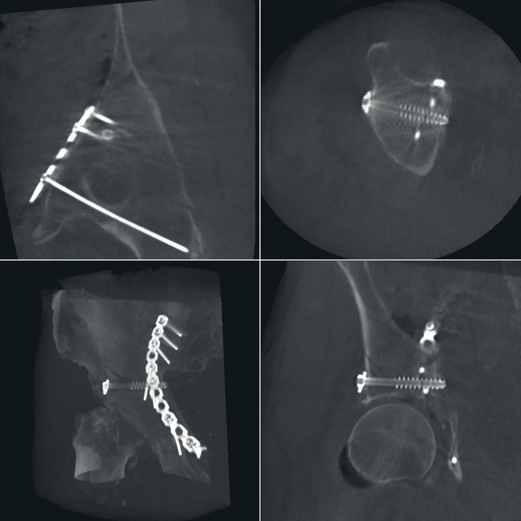 Orthopädie und Traumatologie